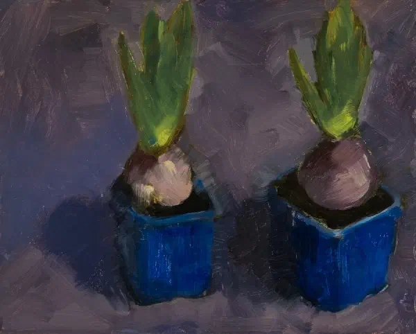 Hyacinths